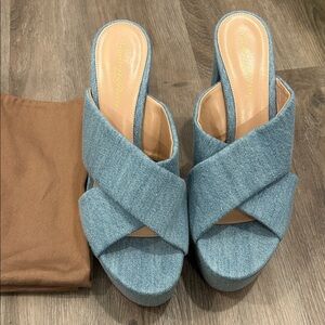 Gianvito Rossi Blue Denim Platform Sandals